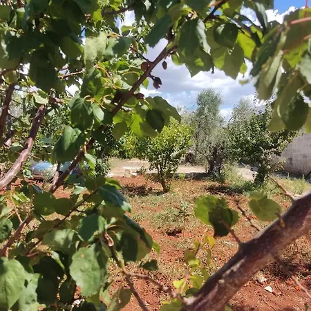 A Casa Noscia شقة Capilungo